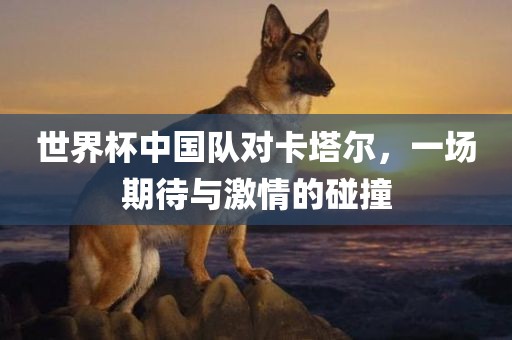 世界杯中国队对卡塔尔，一场期待与激情的碰撞