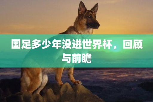 国足多少年没进世界杯，回顾与前瞻
