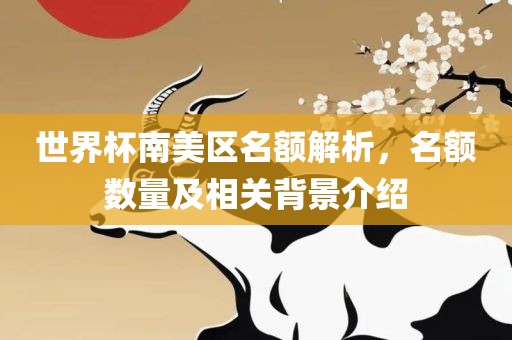 世界杯南美区名额解析，名额数量及相关背景介绍