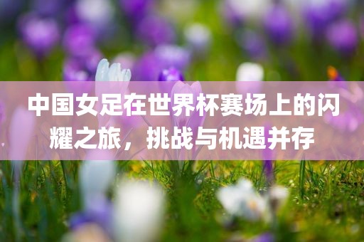 中国女足在世界杯赛场上的闪耀之旅，挑战与机遇并存