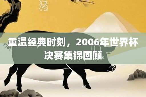 重温经典时刻，2006年世界杯决赛集锦回顾