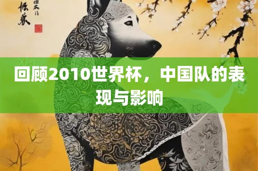 回顾2010世界杯，中国队的表现与影响