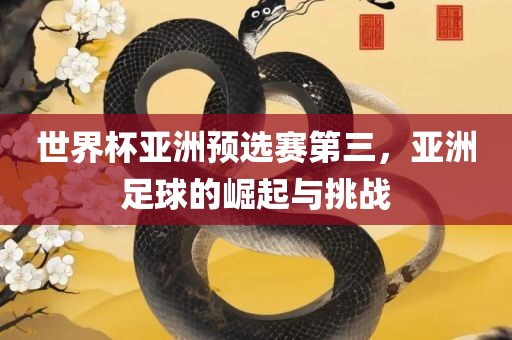 世界杯亚洲预选赛第三，亚洲足球的崛起与挑战