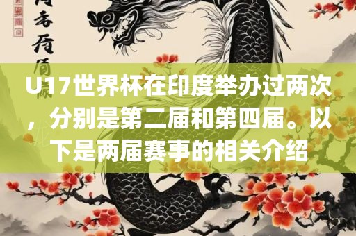 U17世界杯在印度举办过两次，分别是第二届和第四届。以下是两届赛事的相关介绍