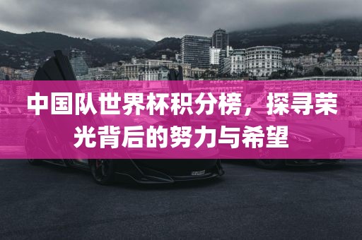 中国队世界杯积分榜，探寻荣光背后的努力与希望漯河市盈旭机械设备有限公司