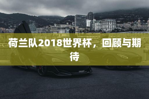 荷兰队2018世界杯，回顾与期待