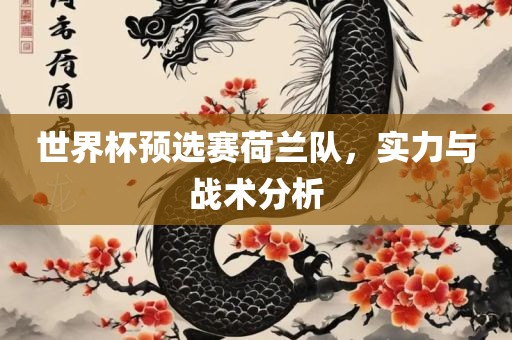 世界杯预选赛荷兰队，实力与战术分析