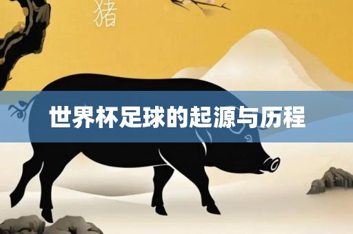 世界杯足球的起源与历程漯河市盈旭机械设备有限公司