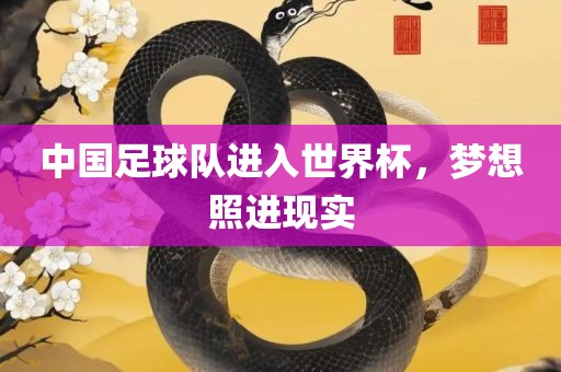 中国足球队进入世界杯，梦想照进现实