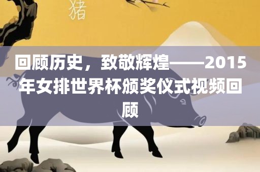 回顾历史，致敬辉煌——2015年女排世界杯颁奖仪式视频回顾