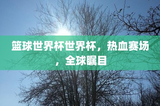 篮球世界杯世界杯，热血赛场，全球瞩目