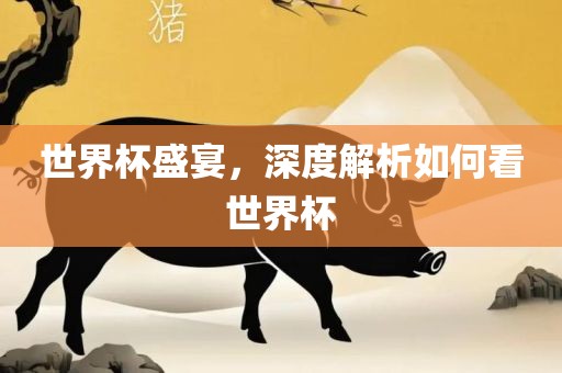 世界杯盛宴，深度解析如何看世界杯漯河市盈旭机械设备有限公司