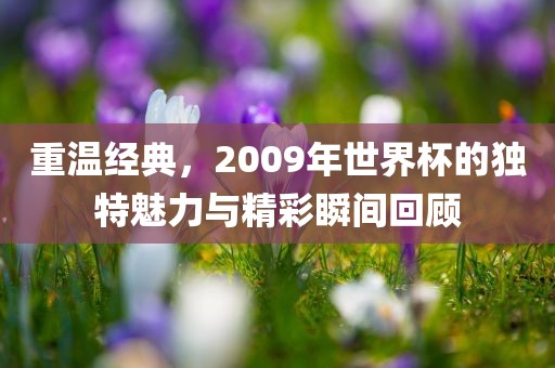 重温经典，2009年世界杯的独特魅力与精彩瞬间回顾