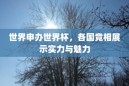 世界申办世界杯，各国竞相展示实力与魅力