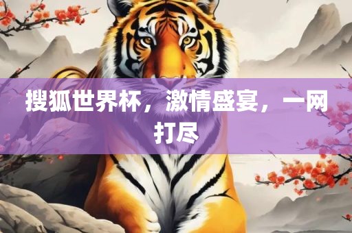 搜狐世界杯，激情盛宴，一网打尽