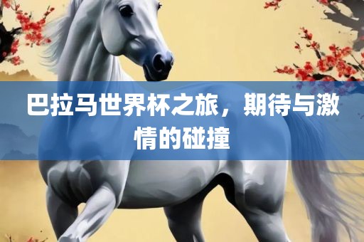 巴拉马世界杯之旅，期待与激情的碰撞