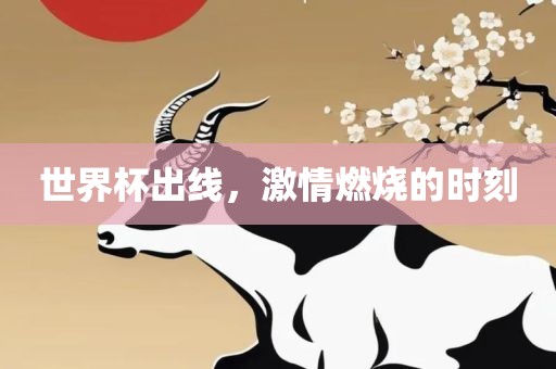 世界杯出线，激情燃烧的时刻