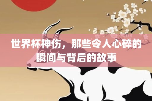 世界杯神伤，那些令人心碎的瞬间与背后的故事