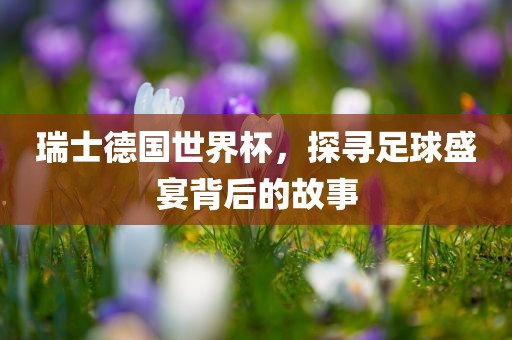 瑞士德国世界杯，探寻足球盛宴背后的故事