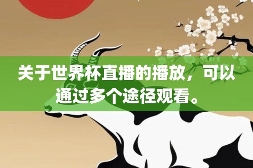 关于世界杯直播的播放，可以通过多个途径观看。
