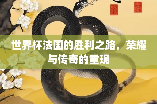 世界杯法国的胜利之路，荣耀与传奇的重现