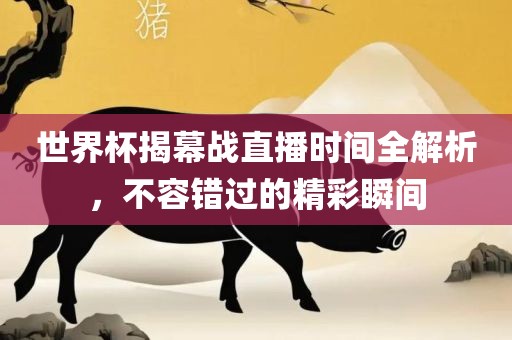 世界杯揭幕战直播时间全解析，不容错过的精彩瞬间