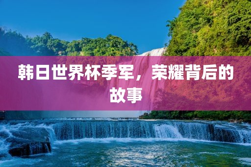 韩日世界杯季军，荣耀背后的故事漯河市盈旭机械设备有限公司