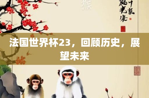 法国世界杯23，回顾历史，展望未来