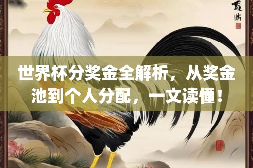 世界杯分奖金全解析，从奖金池到个人分配，一文读懂！