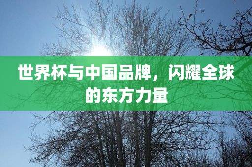 世界杯与中国品牌，闪耀全球的东方力量