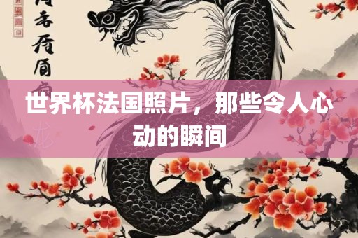 世界杯法国照片，那些令人心动的瞬间