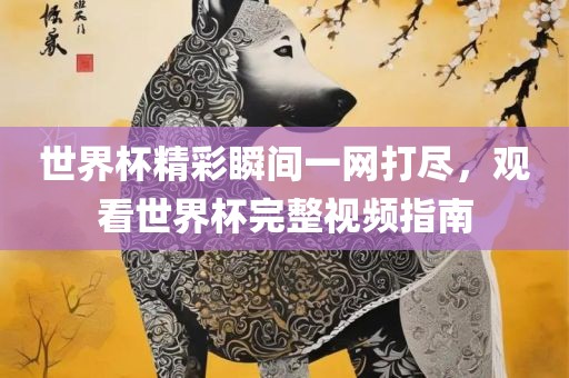 世界杯精彩瞬间一网打尽，观看世界杯完整视频指南