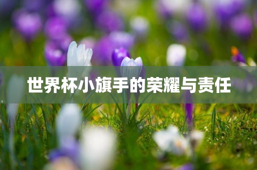 世界杯小旗手的荣耀漯河市盈旭机械设备有限公司与责任
