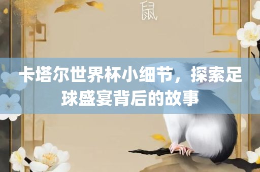 卡塔尔世界杯小细节，探索足球盛宴背后的故事