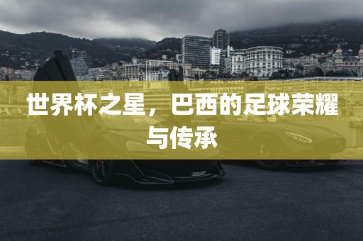 世界杯之星，巴西的足球荣耀与传承