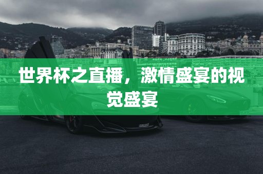 世界杯之直播，激情盛宴的视觉盛宴漯河市盈旭机械设备有限公司