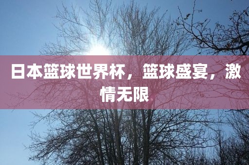 日本篮球世界杯，篮球盛宴，激情无限