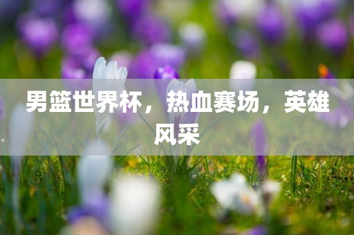 男篮世界杯，热血赛场，英雄风采