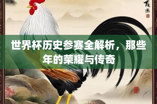 世界杯历史参赛全解析，那些年的荣耀与传奇