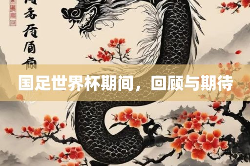国足世界杯期间，回顾与期待