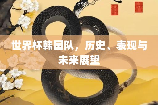 世界杯韩国队，历史、表现与未来展望