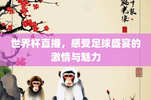 世界杯直播，感受足球盛宴的激情与魅力漯河市盈旭机械设备有限公司