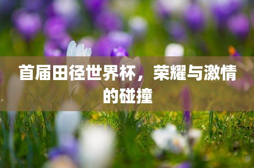 首届田径世界杯，荣耀与激情的碰撞