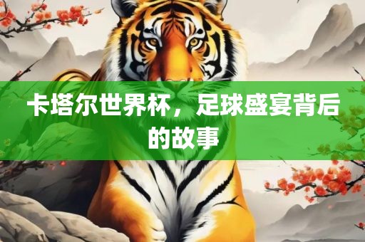 卡塔尔世界杯，足球盛宴背后的故事