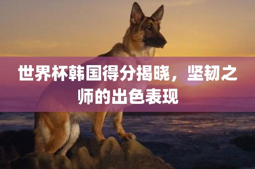 世界杯韩国得分揭晓，坚韧之师的出色表现