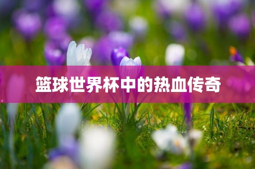 篮球世界杯中的热血传奇