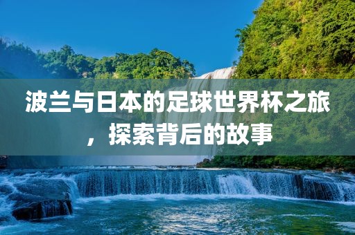 波兰与日本的足球世界杯之旅，探索背后的故事漯河市盈旭机械设备有限公司