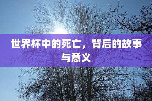 世界杯中的死亡，背后的故事与意义