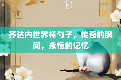 齐达内世界杯勺子，传奇的瞬间，永恒漯河市盈旭机械设备有限公司的记忆