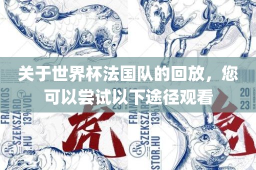 关于世界杯法国队的回放，您可以尝试以下途径观看